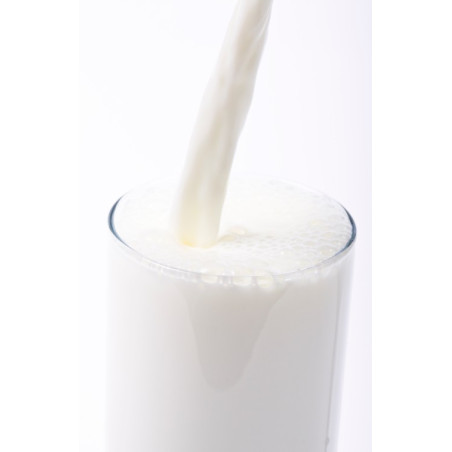 THJ Lait  Super Concentre