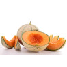 THJ Melon Super Concentre