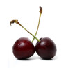 THJ Cerise Griotte Super Concentre