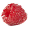 THJ Framboise Super Concentre