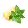 THJ Menthe Citron Super Concentre