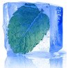THJ Menthe Extra Fraiche Super Concentre