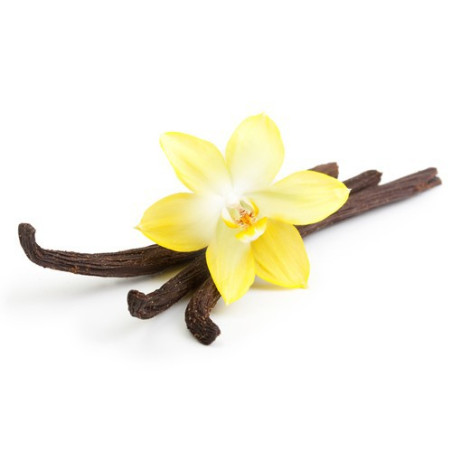 THJ Arôme Vanille Extra Naturel