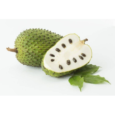 THJ Arôme Guanabana Super Concentre
