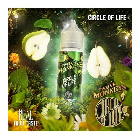 E liquide Mangabeys Iced 50ml - Twelve Monkeys Vapor Co