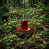 THJ Fraise des Bois Super Concentre
