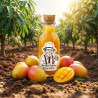 THJ Mangue Super Concentre