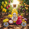 Arôme Fruits Exotiques Super Concentré THJ