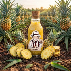 Arôme Ananas Super Concentré THJ