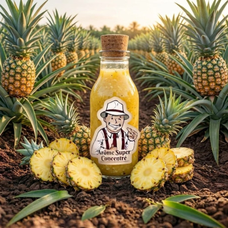 Arôme Ananas Super Concentré THJ