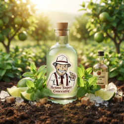 Arôme Mojito Super Concentré THJ