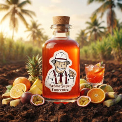 Arôme Punch Super Concentré THJ