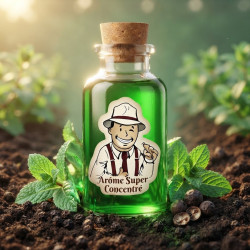 Arôme Menthe Poivrée Super Concentré THJ – DIY | The Hype Juices