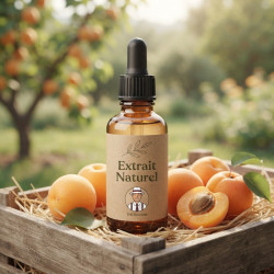 Arôme Gourmet Abricot Naturel THJ