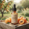 Arôme Gourmet Abricot Naturel THJ