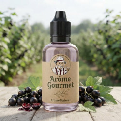 Arôme Gourmet Cassis Naturel THJ