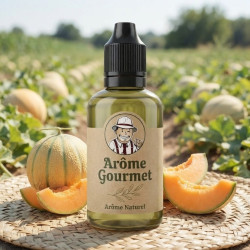 Arôme Gourmet Melon Naturel THJ