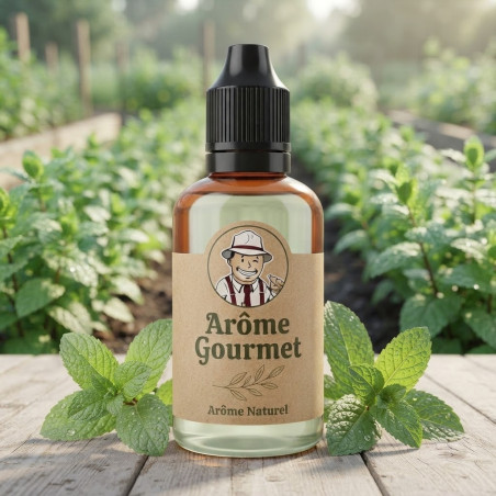 Arôme Gourmet Menthe THJ