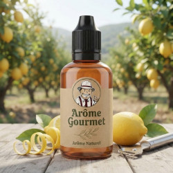 Arôme Gourmet Zeste de Citron Naturel THJ
