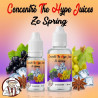 Concentré Ze Spring The Hype Juices en flacons 10 ml et 30 ml