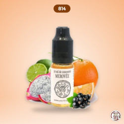 Concentré Mérovée 50 ml - 814 – 814