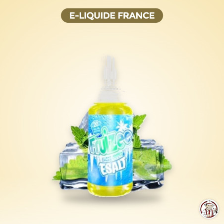 E liquide sel de Nicotine - Ice Mint 10ML - Eliquid France – E-Liquide France