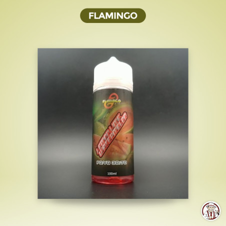 E-liquide Lemon Lime Watermelon 100 ml- Flamingo – Flamingo