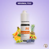 E-liquide sel de Nicotine Salade de fruits 10ml - MiNiMAL FUU – MiNiMal FUU