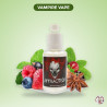 Concentré Attraction - Vampire Vape – Vampire Vape