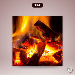 TPA Chêne Rouge - (Red Oak ) – TPA