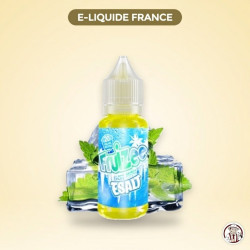 E liquide sel de Nicotine - Ice Mint 10ML - Eliquid France – E-Liquide France