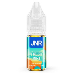E liquide Sel de nicotine Fresh Mint 10 ml - JNR