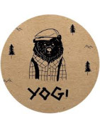 Yogi
